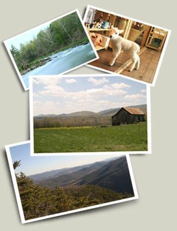 Lost River B&B Mathias Экстерьер фото